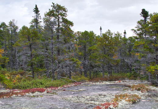 DSC 0076